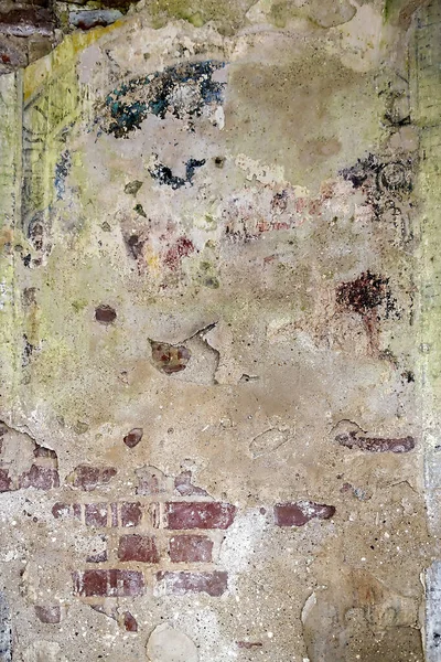 remains of drawings on the walls of a destroyed Orthodox church, Troitskoye village, Kostroma region, Russia