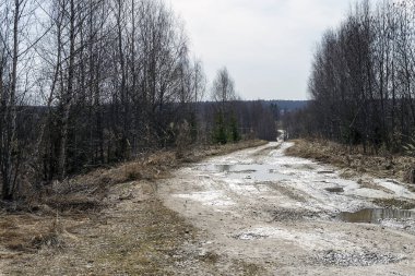 Baharda çamurlu orman yolu