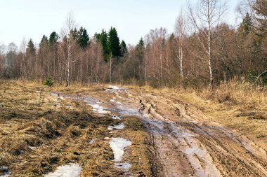 Baharda çamurlu orman yolu