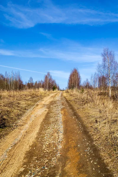 Gjørmete Skogsvei Våren – stockfoto