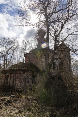 Ormandaki terk edilmiş Ortodoks kilisesi, Rusya 'nın Kostroma bölgesindeki Myshkino köyü, 1784 yılında inşa edildi.