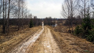 Baharda çamurlu orman yolu
