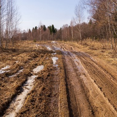 Baharda çamurlu orman yolu