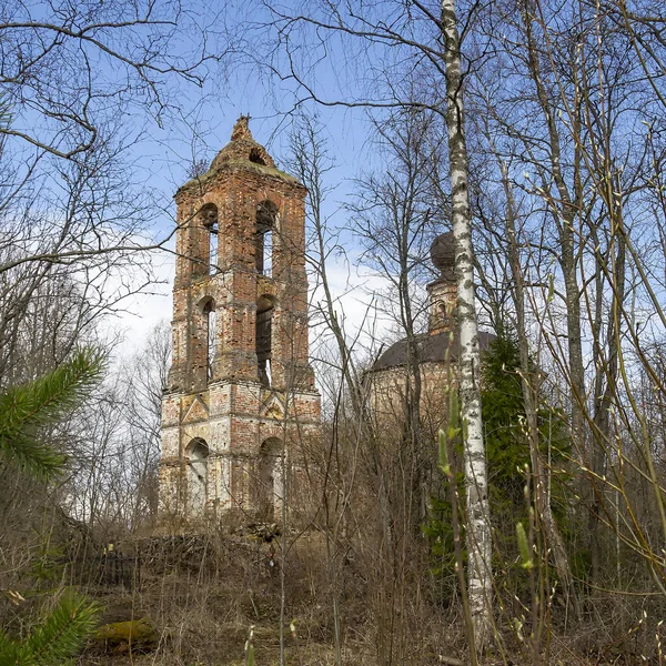 Église Orthodoxe Abandonnée Dans Forêt Village Myshkino Région Kostroma Russie — Photo