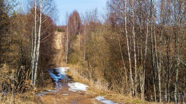 Baharda çamurlu orman yolu