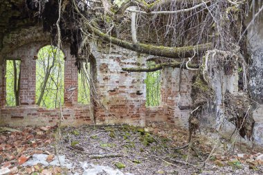 1801 'de Rusya' nın Kostroma bölgesindeki Grudevo köyünde terk edilmiş eski bir Ortodoks kilisesinin içinde.