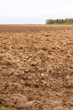 Taze sürülmüş toprak, ekilebilir arazi