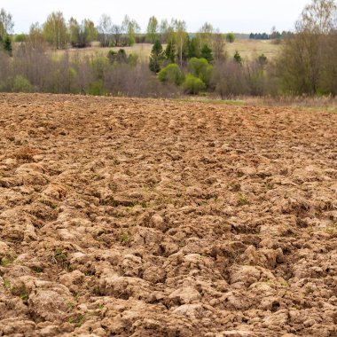 Taze sürülmüş toprak, ekilebilir arazi