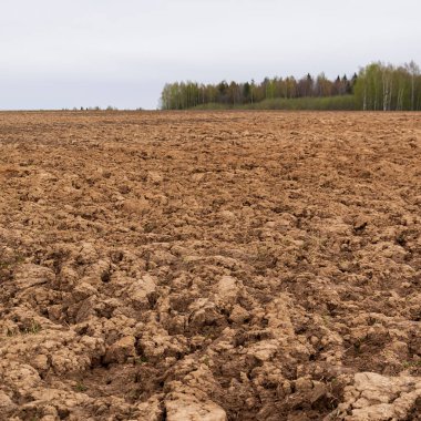 Taze sürülmüş toprak, ekilebilir arazi