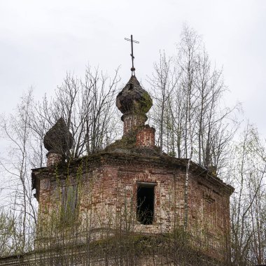 terk edilmiş Ortodoks kilisesi, Grudevo köyü, Kostroma bölgesi, Rusya, 1801 'de inşa edildi.