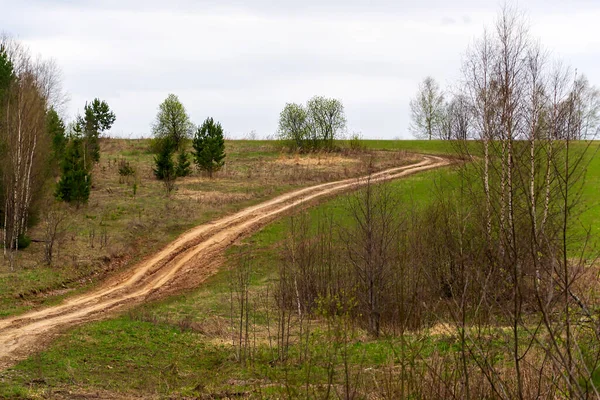 Ormandaki eski toprak yol
