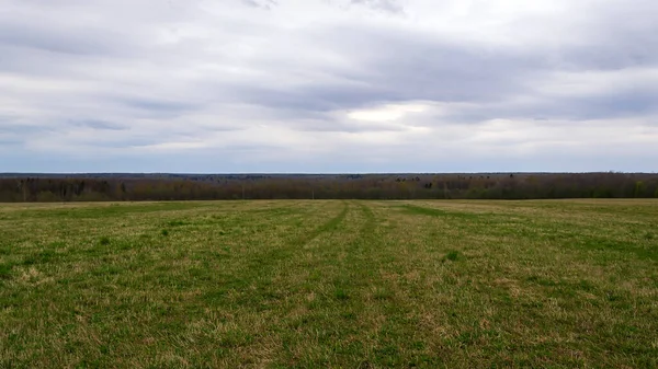 Landschaft Grünes Feld Horizontlinie — Stockfoto