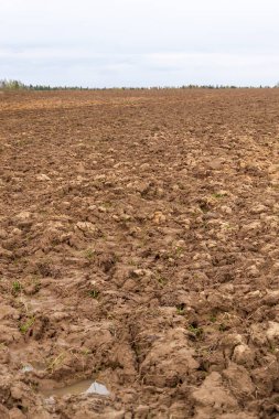 Taze sürülmüş toprak, ekilebilir arazi