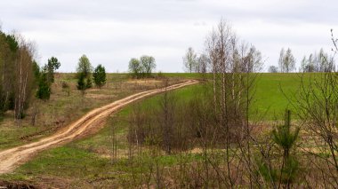 Ormandaki eski toprak yol