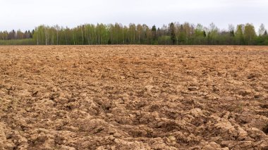 Taze sürülmüş toprak, ekilebilir arazi