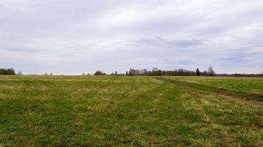 manzara yeşil alan, ufuk çizgisi
