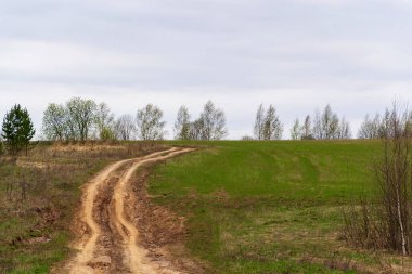 Ormandaki eski toprak yol