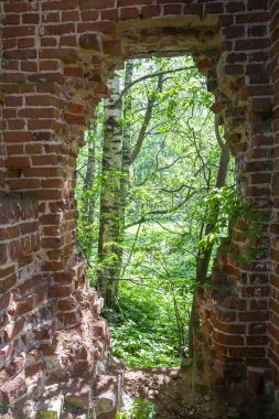 1791 'de inşa edilen Ryapolovo köyü, Rusya' da terk edilmiş bir Ortodoks kilisesinin içi şu anda terk edilmiş durumda.
