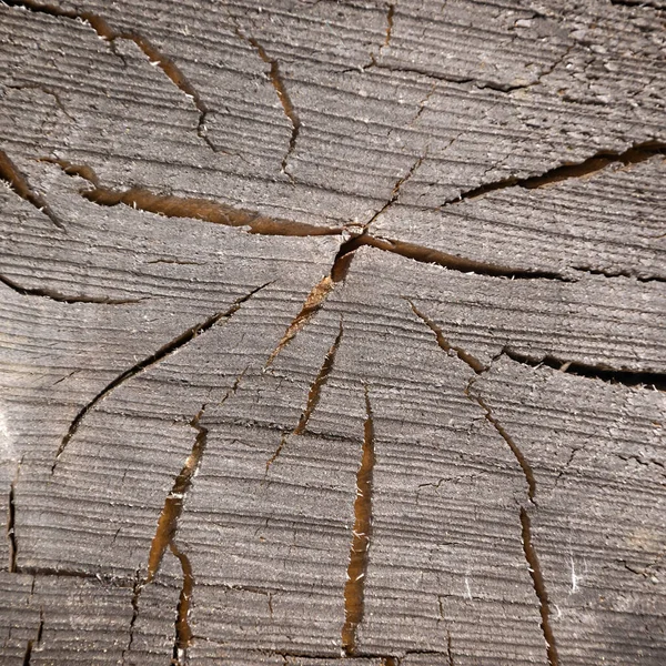 Nahaufnahme Holzschnitt Textur — Stockfoto
