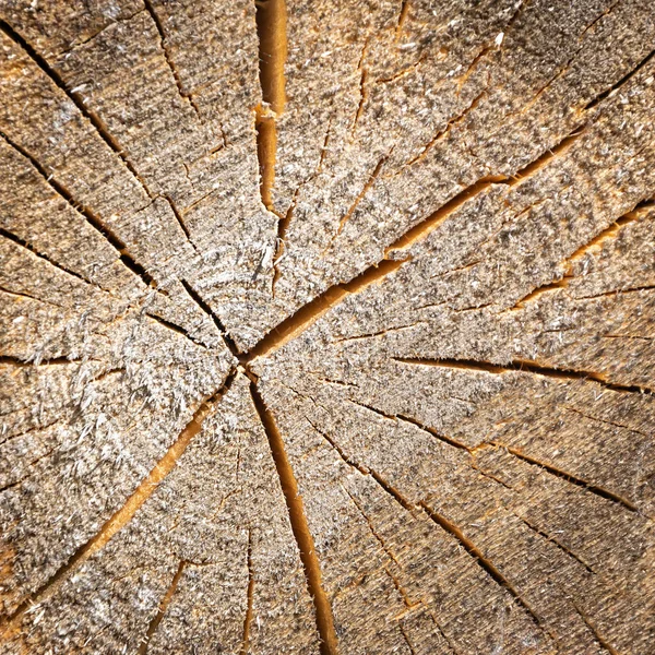 Zblízka Řezaná Dřevěná Textura — Stock fotografie