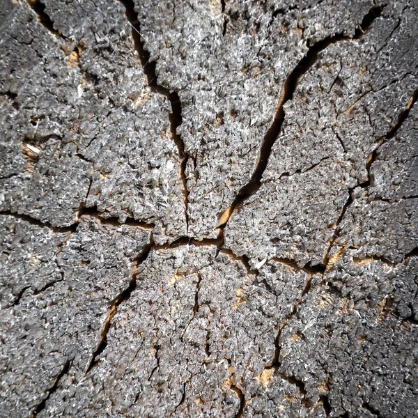 Nahaufnahme Holzschnitt Textur — Stockfoto