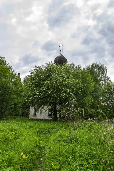 Landschap Orthodoxe Kerk Het Bos Het Tempelcomplex Van Het Dorp — Stockfoto