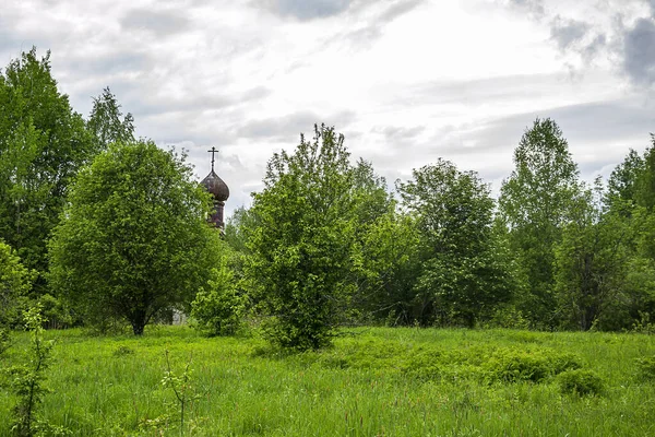 Landscape Orthodox Church Forest Temple Complex Village Ilyinsky Shacha River — Stock Photo, Image