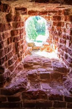 Rusya 'nın Kostroma ilinin Nikitskoye köyünde terk edilmiş bir Ortodoks kilisesinin içinde. İnşaat yılı 1789. Şu anda tapınak terk edilmiş durumda..