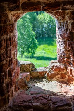 Rusya 'nın Kostroma ilinin Nikitskoye köyünde terk edilmiş bir Ortodoks kilisesinin içinde. İnşaat yılı 1789. Şu anda tapınak terk edilmiş durumda..