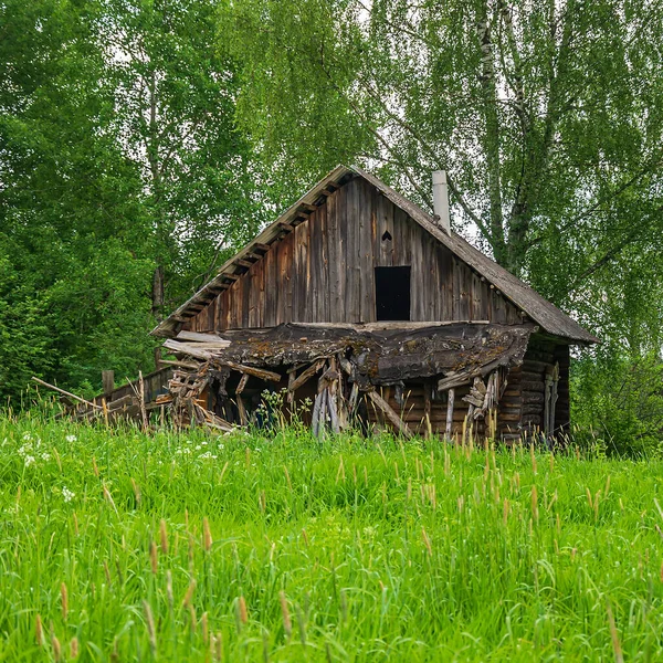 Une Vieille Maison Bois Ruine Dans Forêt — Photo