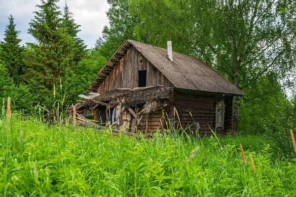 Старый Разрушенный Деревянный Дом Лесу — стоковое фото