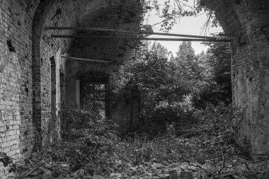 Rusya 'nın Kostroma ilindeki Buyakovo köyünde bir Ortodoks kilisesinin içinde. İnşaat yılı 1810. Şu anda tapınak terk edilmiş durumda..