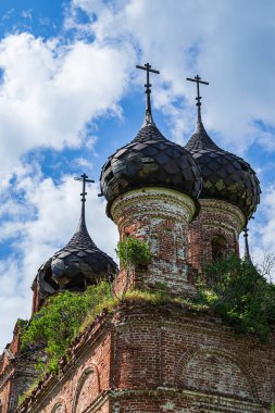 Rusya 'nın Kostroma ilindeki Buyakovo köyünde terk edilmiş bir Ortodoks kilisesinin kubbeleri. İnşaat yılı 1810. Şu anda tapınak terk edilmiş durumda..