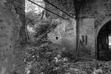 Rusya 'nın Kostroma ilindeki Buyakovo köyünde bir Ortodoks kilisesinin içinde. İnşaat yılı 1810. Şu anda tapınak terk edilmiş durumda..