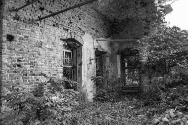 Rusya 'nın Kostroma ilindeki Buyakovo köyünde bir Ortodoks kilisesinin içinde. İnşaat yılı 1810. Şu anda tapınak terk edilmiş durumda..