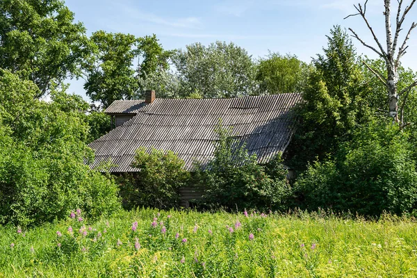 an abandoned village house in a Russian village