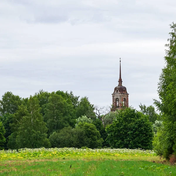 Krajina Opuštěná Pravoslavná Zvonice Gorinskoe Provincie Kostroma Rusko Rok Výstavby — Stock fotografie