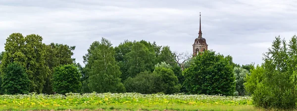 Paisagem Torre Sino Ortodoxa Abandonada Área Gorinskoe Província Kostroma Rússia — Fotografia de Stock