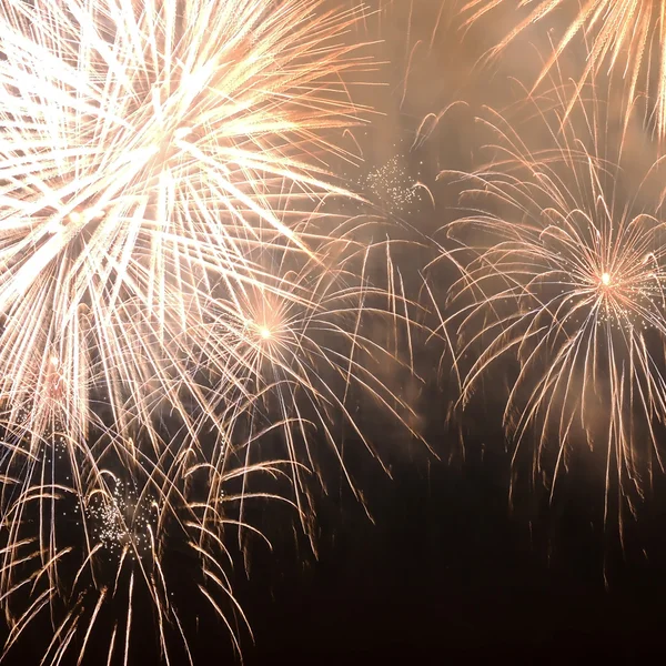 Fuegos artificiales —  Fotos de Stock