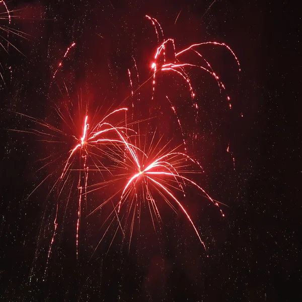 Fuochi artificiali — Foto Stock