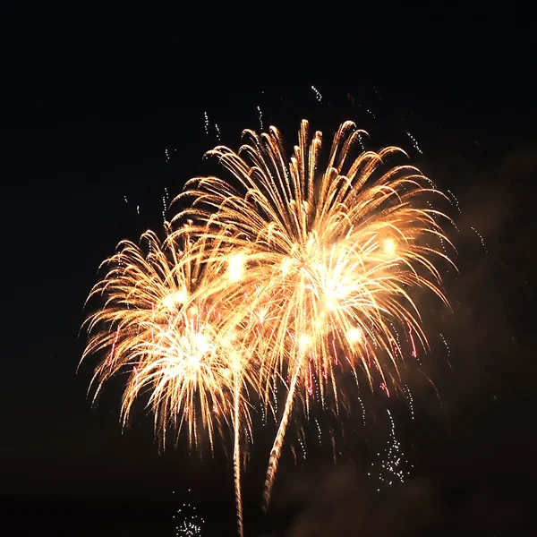 Fuochi artificiali — Foto Stock