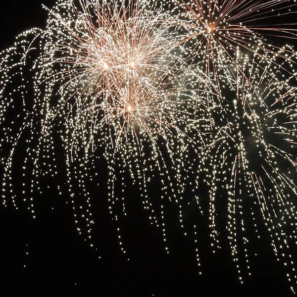 Fuochi artificiali — Foto Stock