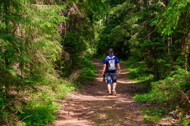 Yürüyüş fotoğrafçısı güneşli bir günde ormanda yürür.