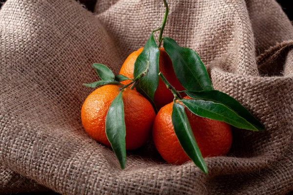 Stilleben sammansättning av färska plockade klementinmandariner med gröna blad på säck duk — Stockfoto