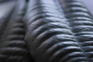 Kapalı yeşil renkli yaprak.