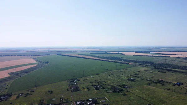 Campos Verdes Vista Aérea Antes Colheita Verão Linha Energia Campo — Fotografia de Stock