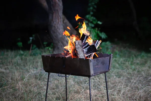 Yanan odunla doldurulmuş küçük, katlanabilir bir brazier. Izgarada yemek pişirmek. Doğada güvenli ateş. Brezilya 'da alevler. yakacak odun.