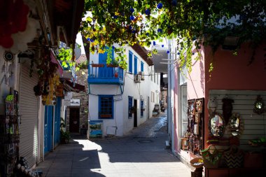 Türkiye 'nin eski Marmaris kentinde güneşli bir günde çiçek ve bitkilerle dolu güzel dar bir cadde. Mavi balkon ve taş kaldırımlı kapı..