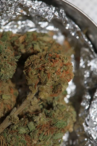Cannabis Pupeny Lékařské Marihuana Super Citron Opar Vysoce Kvalitní Moderní — Stock fotografie