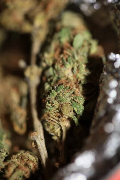 Cannabis Μπουμπούκια Ιατρική Marihuana Σούπερ Λεμόνι Haze Υψηλής Ποιότητας Μοντέρνα — Φωτογραφία Αρχείου